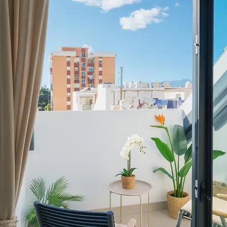 Little Penthouse